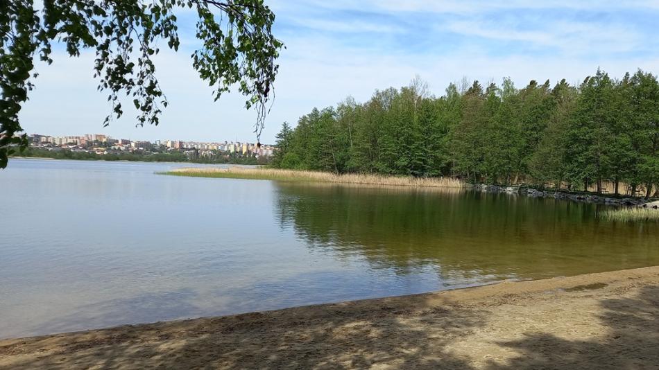 VIDEO: Bolevecké rybníky jsou ve skvělé kondici