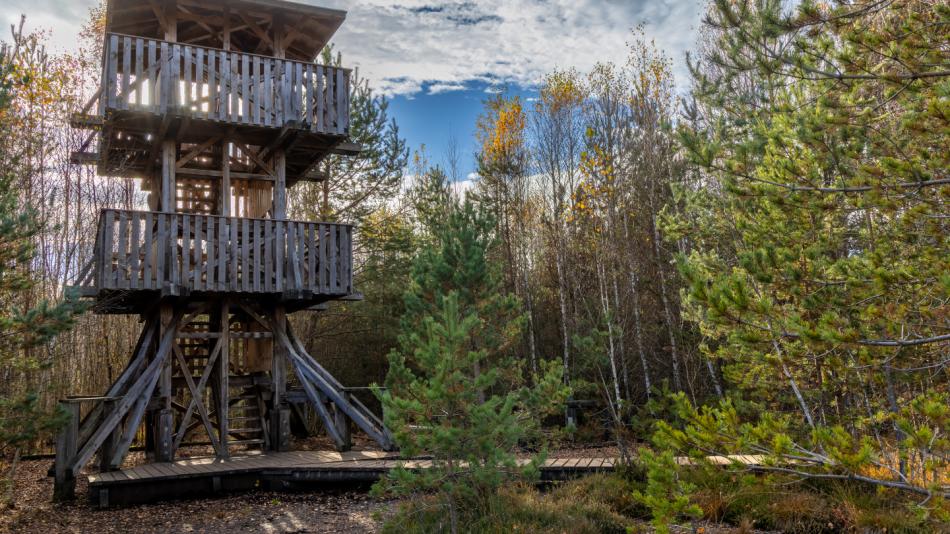 Správa NP Šumava začne projektovat novou rozhlednu na Soumarském rašeliništi. Ta stávající je v havarijním stavu
