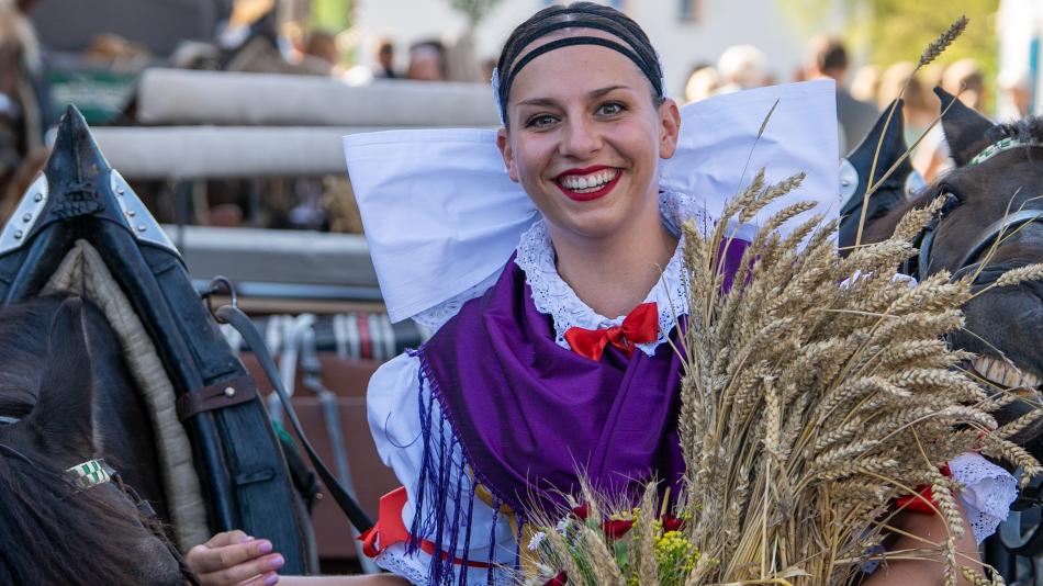 Dožínky Plzeňského kraje se letos uskuteční v Manětíně