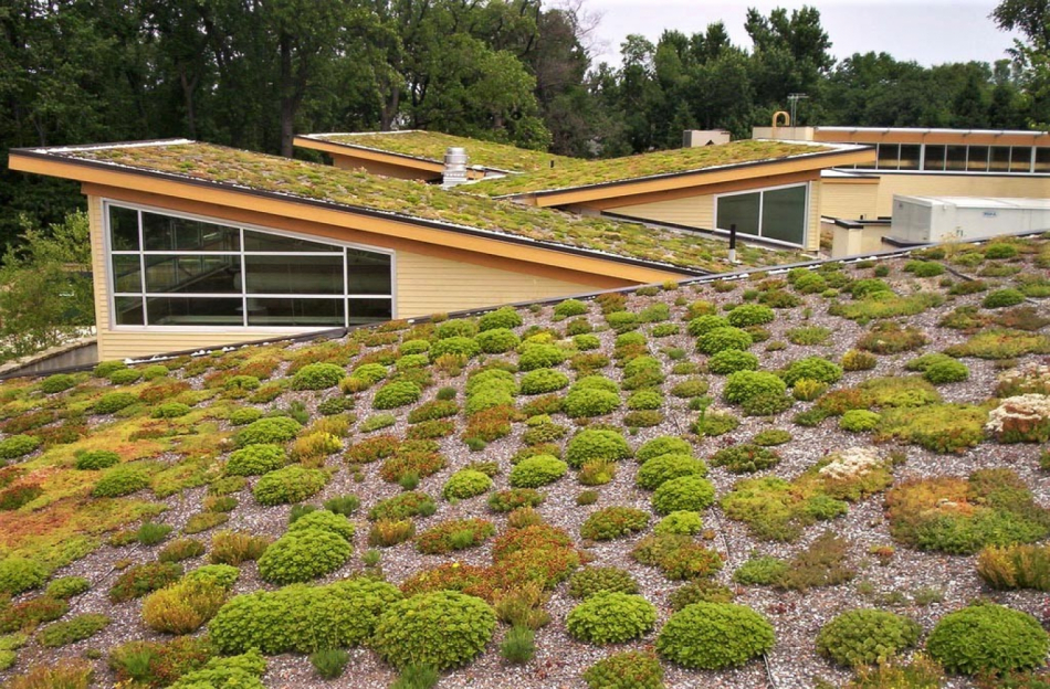 Zelenou střechu na svých pavilonech plánuje další plzeňská škola