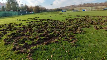 Hřiště jim zničila prasata. Teď plzeňský klub dostane peníze na nové oplocení