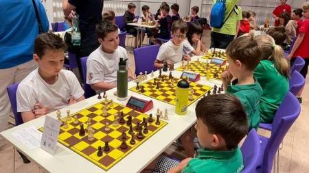 Zlato zamířilo do Plzně! Naši školáci uspěli na republikovém mistrovství v šachu