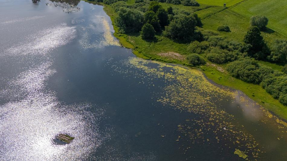 Na Klatovsku vznikl první plovoucí ostrov v kraji, pomáhá ptákům i rybám