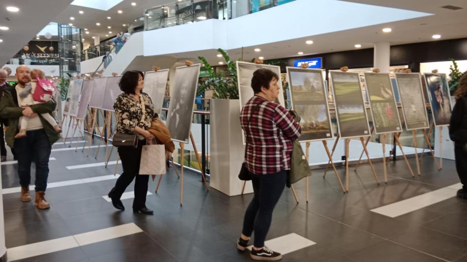 Už od pondělí zpříjemňuje zákazníkům pobyt v Galerii Slovany nová výstava