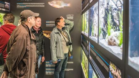Plzeňská zoo otevřela sladkovodní expozici Rybí archa pro ohrožené druhy ryb