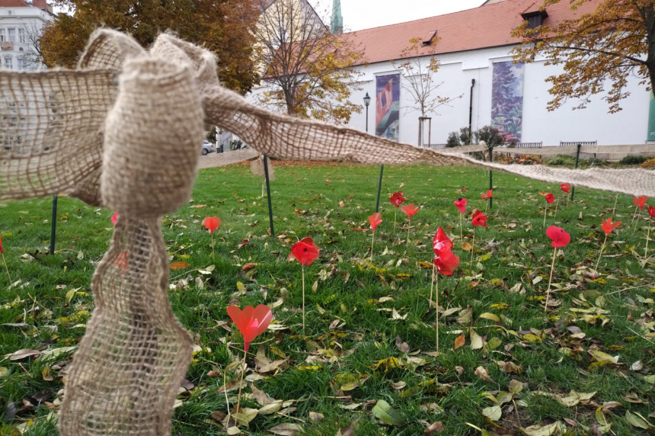 V centru Plzně se na počest veteránů objevil makový záhon
