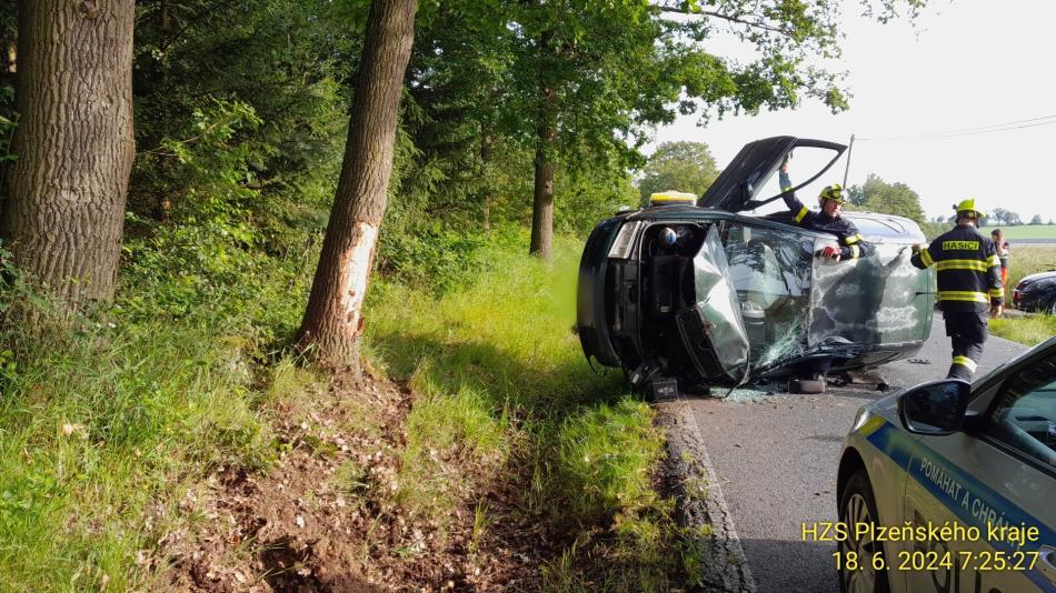Řidič přeběhla přes cestu lesní zvěř, havaroval a skončil v nemocnici