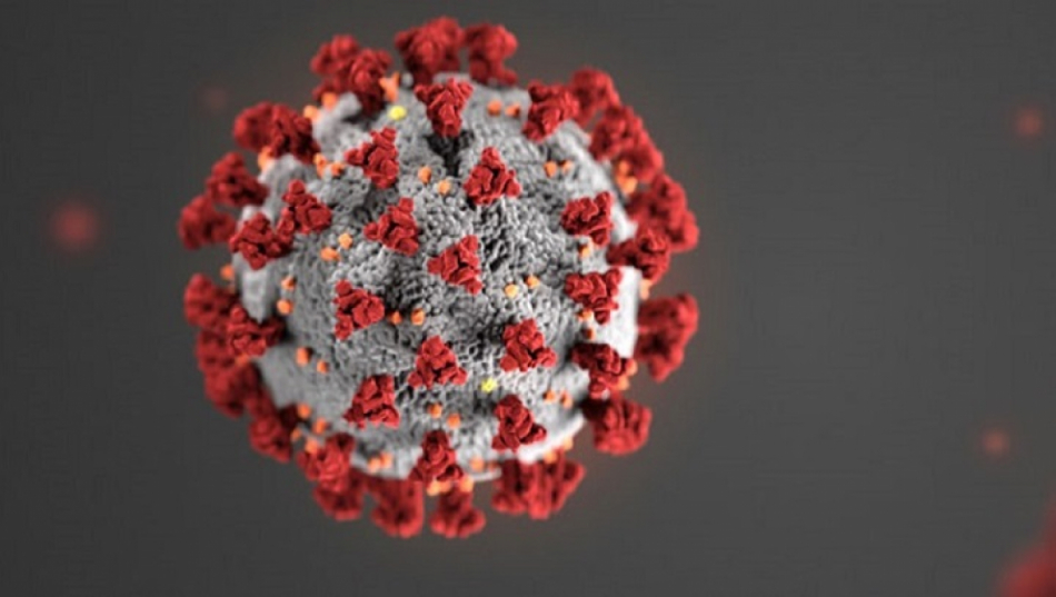 CDC koronavirus