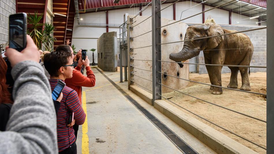 Zlínská zoo zve na speciální prohlídky chovného zařízení pro slony