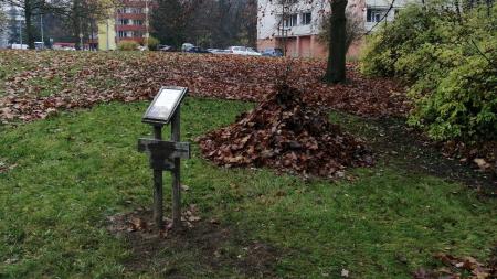 Trojka chrání ježky. Městský obvod pomáhá malým obyvatelům přežít zimu
