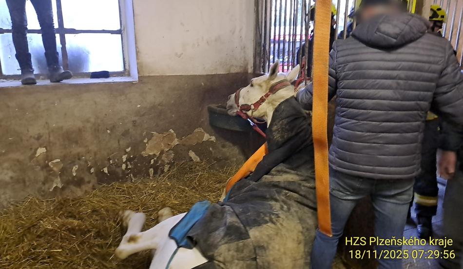 Hasiči vyjížděli na pomoc koni, který se nemohl zvednout na nohy