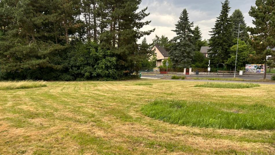 Novinky v údržbě městské zeleně: Lázeňské lesy a parky Karlovy Vary testují mozaikovou seč a spouští formulář pro veřejnost