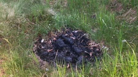 Ať Šumava shoří? Strážci NP Šumava letos likvidovali čtyřicítku nelegálních ohnišť!