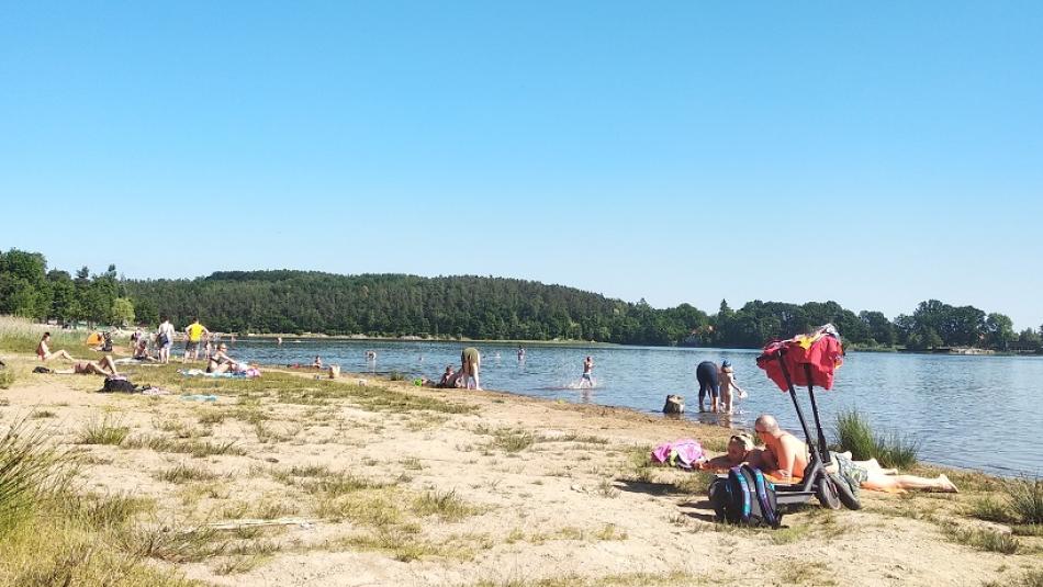 Počasí ochladilo vodu v rybnících v Plzeňském kraji, ale také nepřálo sinicím