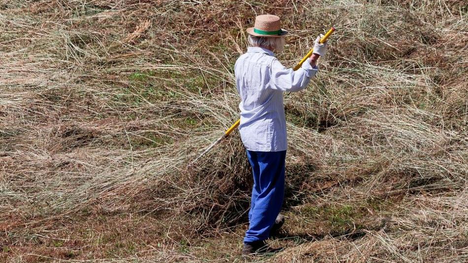 Farmáři z Plzeňska odhadují letos solidní sklizeň, má začít koncem června