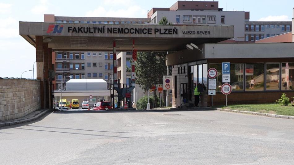 Fakultní nemocnice Plzeň podporuje dobrovolnictví ve zdravotnictví, získala ocenění