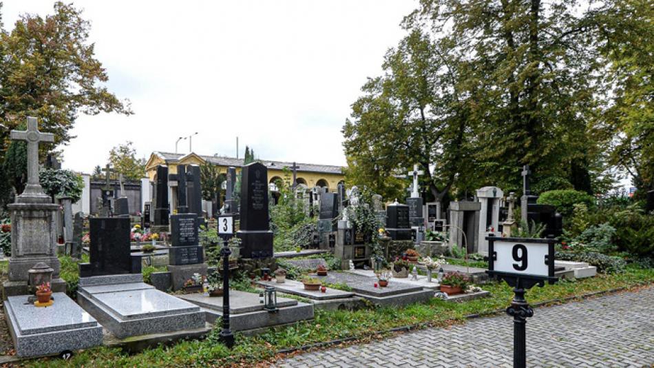Ústřední hřbitov v Plzni chystá pohřbívání popela zemřelých ke kořenům stromů