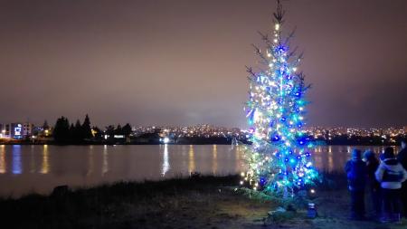 Na ostrůvku na Velkém Boleveckém rybníku svítí vánoční stromeček