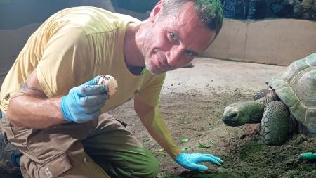 Šance zoo Plzeň na unikátní odchov vzrostly, želva obrovská snesla další vejce