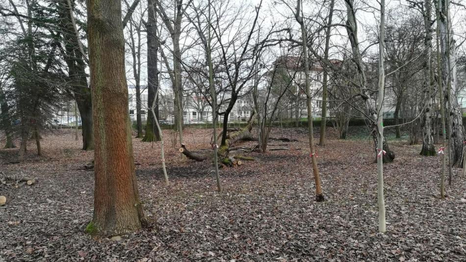 O nové podobě Papírenského parku mohou rozhodnout také Plzeňané