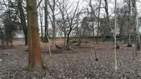 Jak bude vypadat Papírenský park? Plzeňané si přejí zejména stromy, klid a jezírko