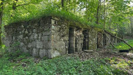 Letní kino a besedy oživí příběhy zaniklé lesní osady Zlatý potok