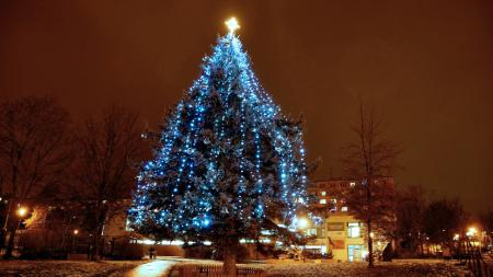 Vánoční strom už svítí také na Lochotíně