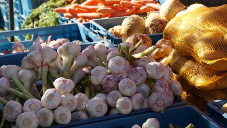 Farmářské trhy lákají na sezónní ovoce a zeleninu