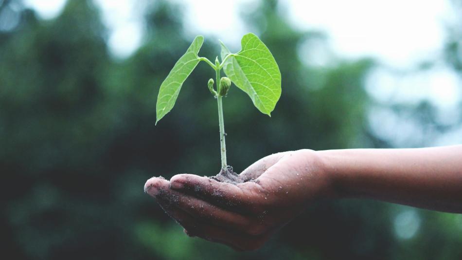 Čtyřka se chystá na klimatické změny: Václav Cílek navrhl adaptační strategii