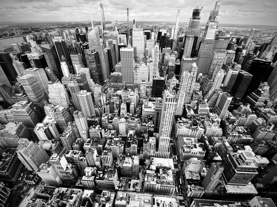 Olga Walló: Cestičkami zvěře s vysvětlivkami