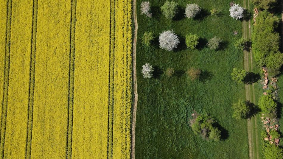 Karlovarský kraj chce podpořit místní zemědělce a rozvoj venkova