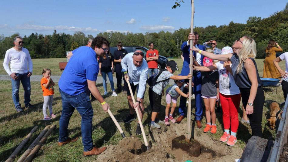 Plzeň podpoří další výsadbu stromů. Vysazeny budou u cyklostezky i ve školách