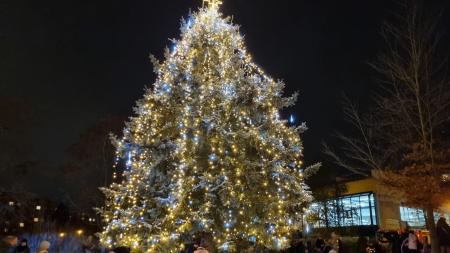 Na Lochotíně už září vánoční strom, na rozsvícení dorazilo přes 2000 lidí
