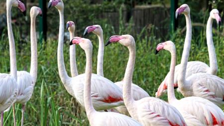 Plzeňská zoo má nové expozice věnované různým ostrovům po celé Zemi