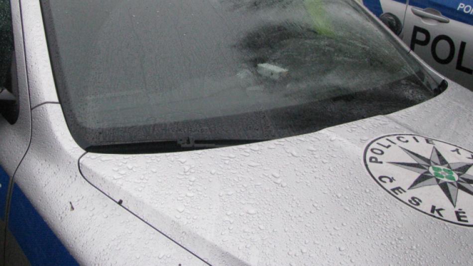 Záhada v Tachově. V řece plavalo 26 zastřelených kachen