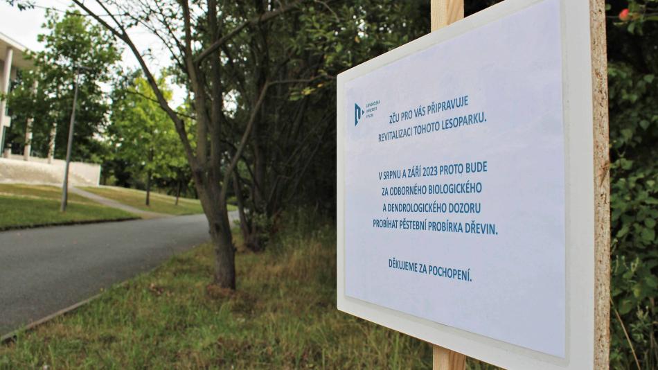 Lesopark v univerzitním kampusu na Borech prochází revitalizaci, sloužit bude i veřejnosti