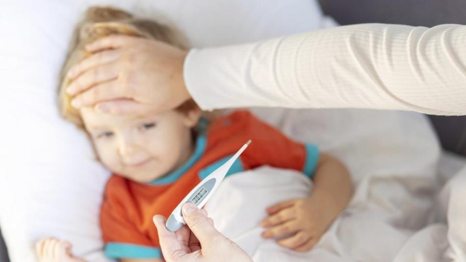 V Plzeňském kraji bude fungovat on-line lékařská pohotovost