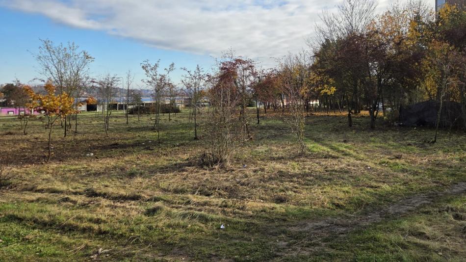 Nepořádek a provizorní přístřešky. S úklidem části Skvrňan pomáhali bezdomovci