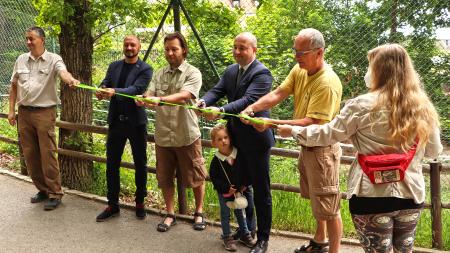 Plzeňská zoo otevřela nový výběh tygrů, představila i samici z Anglie