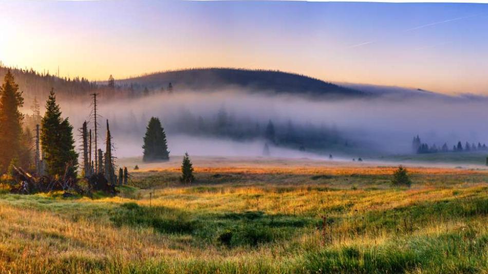 Národní park Šumava má šanci stát se světově uznávaným parkem