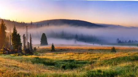 Národní park Šumava má šanci stát se světově uznávaným parkem