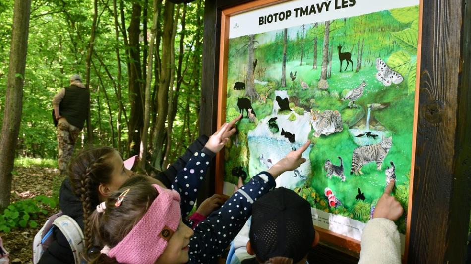 Rozšířená lesní stezka v Liticích přibližuje dětem život v lese