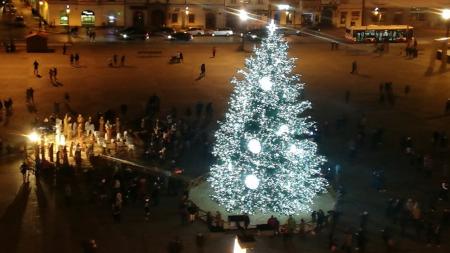 Plzeň hledá vánoční strom