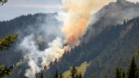 Karlovarský kraj se chystá zmapovat rizikové lokality, kde mohou hrozit rozsáhlé požáry