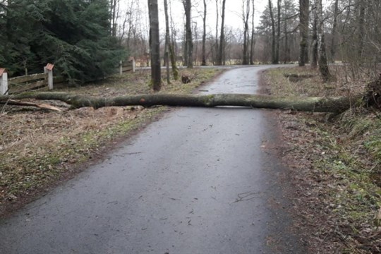 Hasiči v kraji na Štědrý den evidovali více než sto zásahů. Ani jeden nesouvisel s oslavou Vánoc!