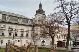 Co si připravila Plzeň na poslední únorové dny?