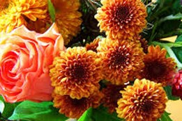 Plzeňský kraj slaví svátek žen!