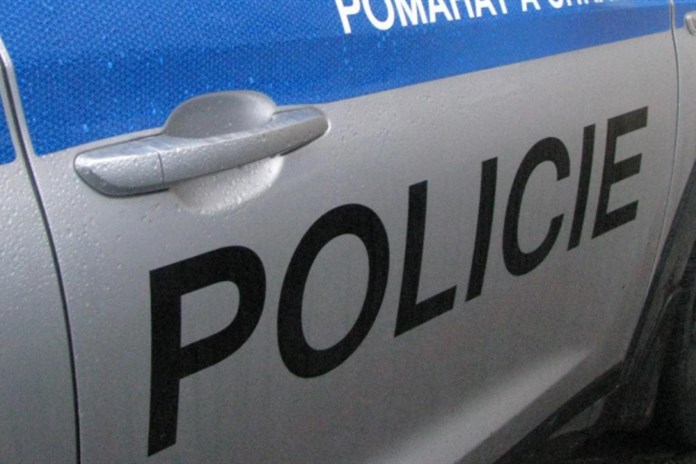 V lesíku u nemocnice ubodal spolubydlícího. Žalobce soudu navrhuje 13 let vězení