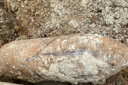 V Plzni na Borech byla nalezena letecká puma!