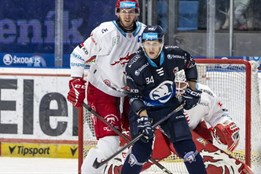 Hokejisté Plzně zvládli dramatický závěr, Třinec udolali po obratu...